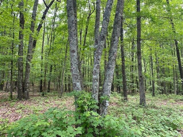 350 Stagecoach Road Sewanee, TN 37375 - Photo 12 of 25 16