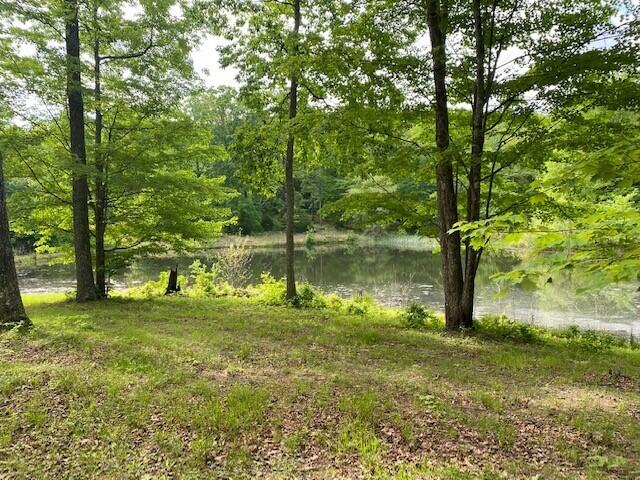 350 Stagecoach Road Sewanee, TN 37375 - Photo 3 of 25 3