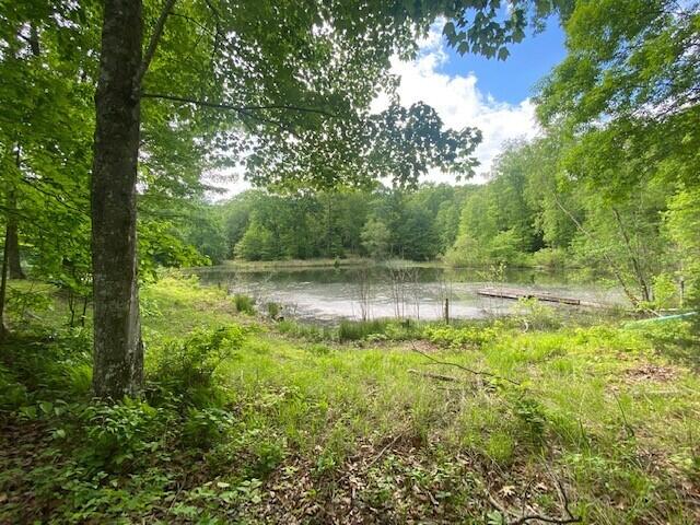 350 Stagecoach Road Sewanee, TN 37375 - Photo 4 of 25 4