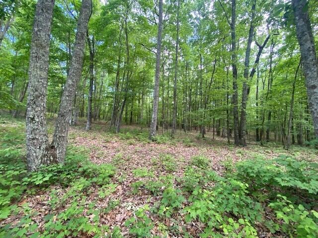 350 Stagecoach Road Sewanee, TN 37375 - Photo 6 of 25 1