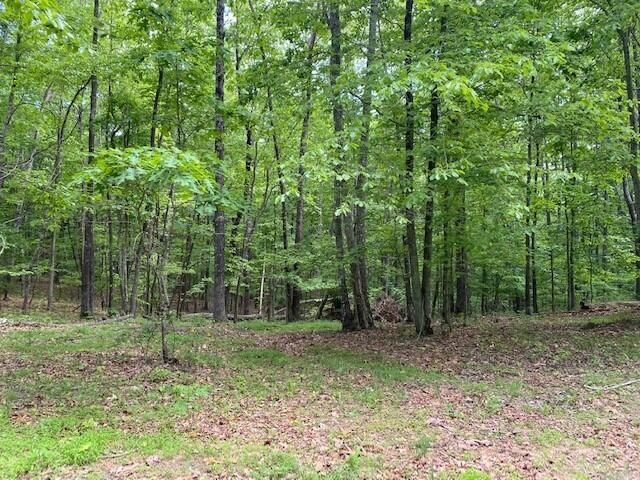 350 Stagecoach Road Sewanee, TN 37375 - Photo 9 of 25 13