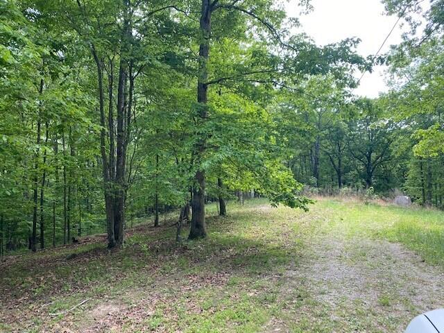 350 Stagecoach Road Sewanee, TN 37375 - Photo 10 of 25 14
