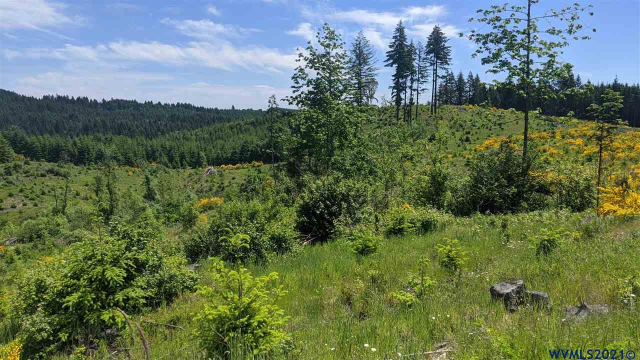 Northwest Timmerman Road Forest Grove, OR 97116 - Photo 7 of 17 Gallery Image 7