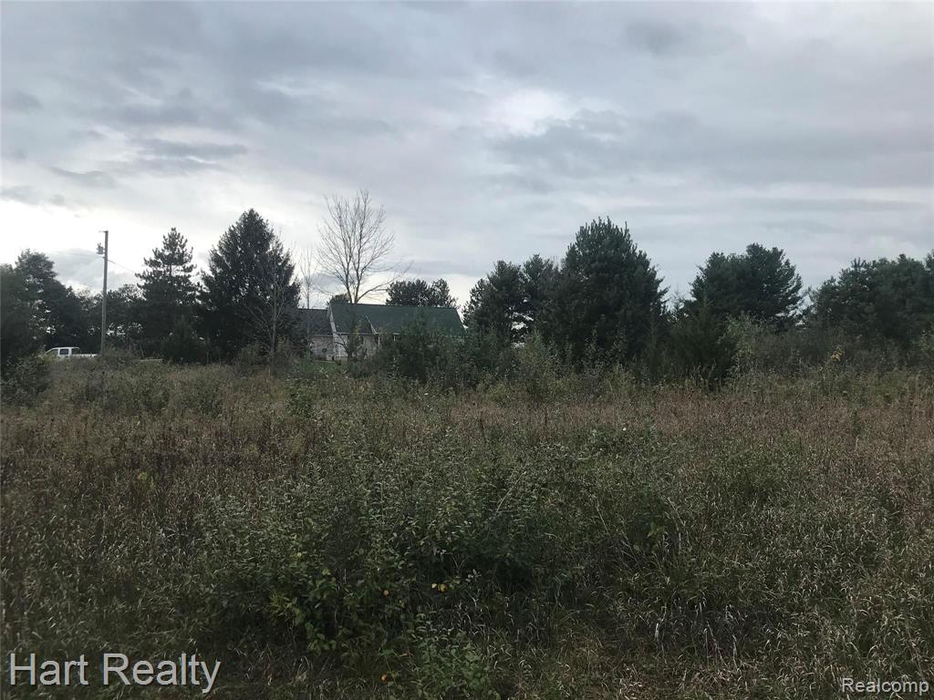 7830 Harris Road Marlette, MI 48453 - Photo 43 of 51