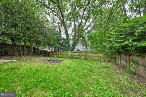 a view of a backyard with a trees