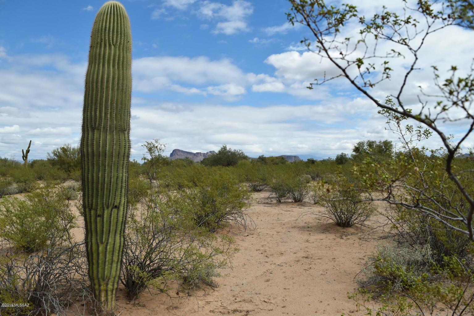 12162 West Rudasill Road Tucson, AZ 85743 - Photo 6 of 18 Gallery Image 6