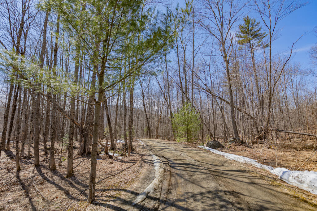 8 Hodgkins Hl Road Temple, ME 04984 - Photo 61 of 64 sandyriverrealty-64
