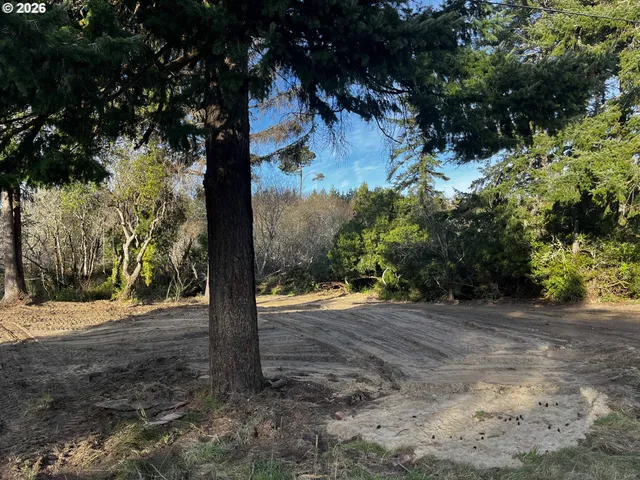 a view of a yard with plants and trees