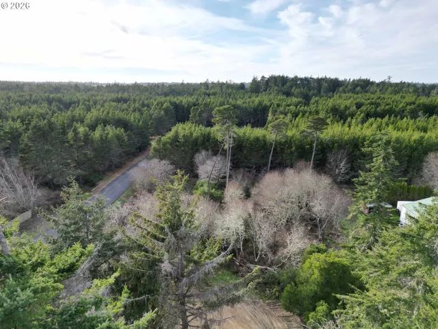 a view of a forest with a street