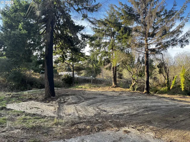a view of a tree in the middle of a yard