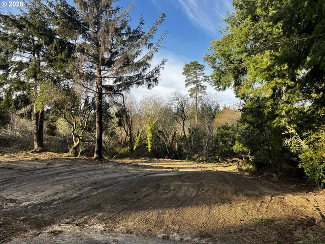 a view of outdoor space with yard