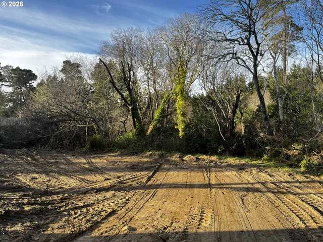 a view of backyard space