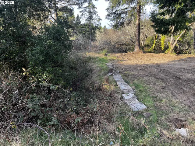 a view of dirt yard with a trees