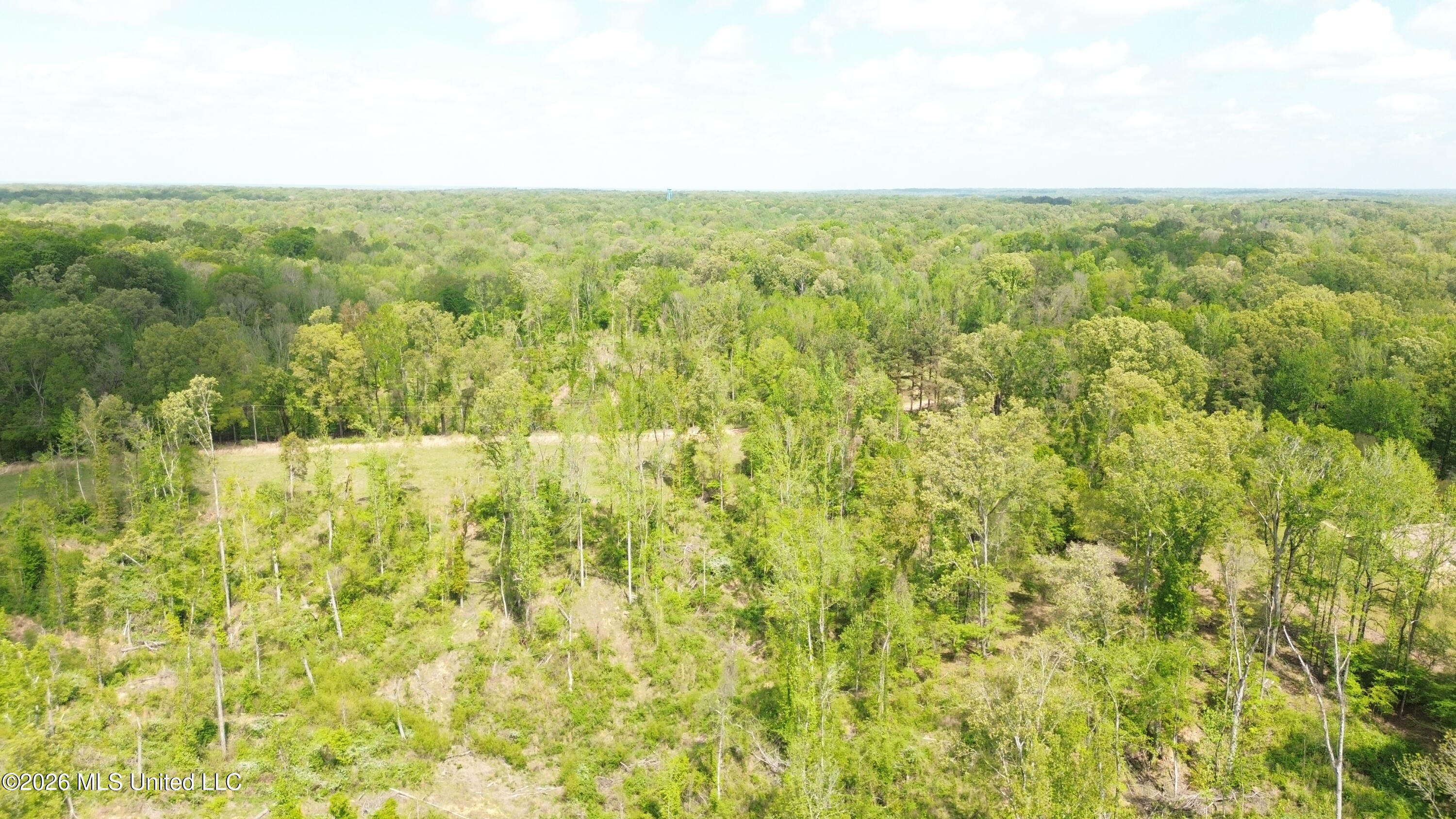 Stevens Road Yazoo City, MS 39194 - Photo 3 of 6 DJI_0606