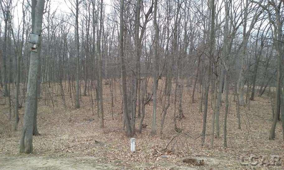 10008 Baker Road Jerome, MI 49249 - Photo 15 of 19 31285401-14.JPG