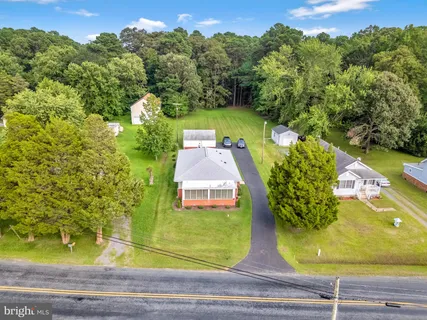 a view of a yard with plants
