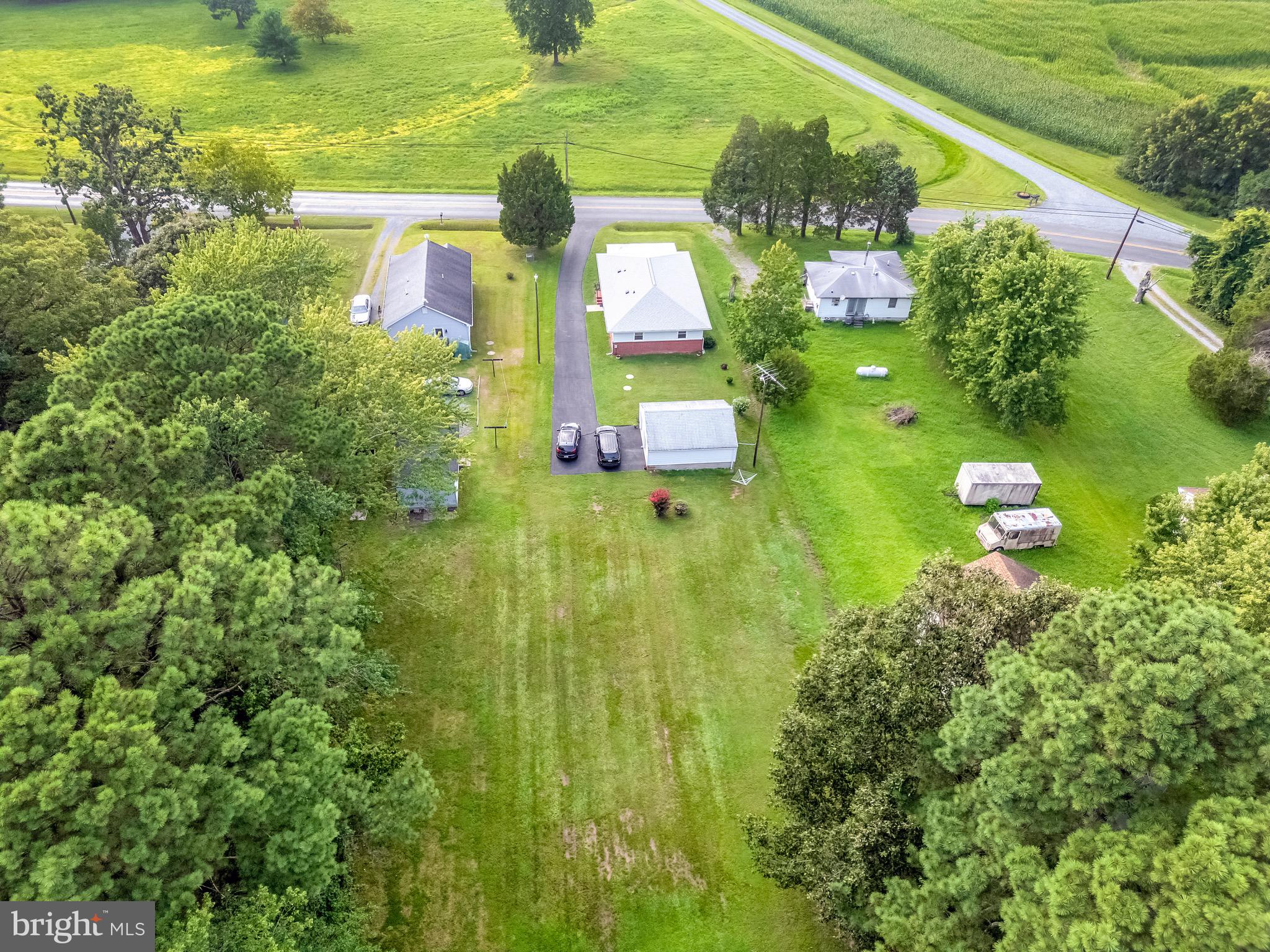 6827 Bellevue Road Royal Oak, MD 21662 - Photo 26 of 32 a view of a big yard with potted plants