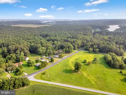 a view of a swimming pool with a yard and plants
