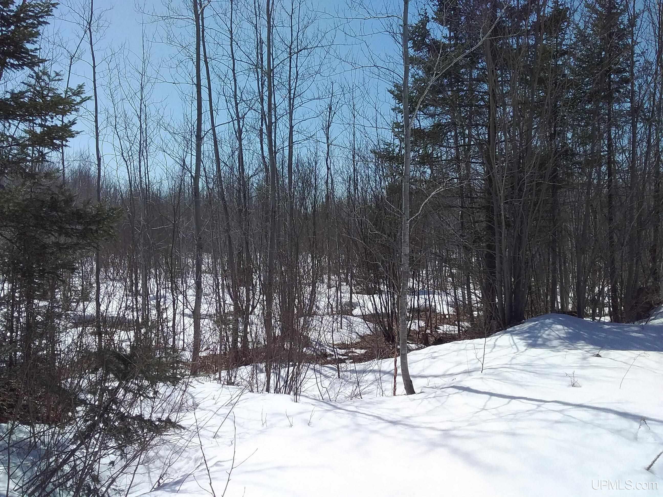 V25 Rd Trenary Mi 49891 Road Rapid River, MI 49878 - Photo 2 of 28
