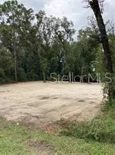 a view of yard with trees