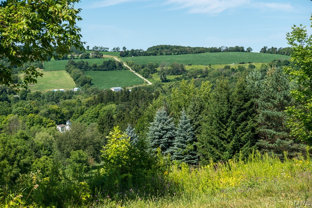 852 Strong Road Tully, NY 13159 - Photo 13 of 42 Gorgeous view!