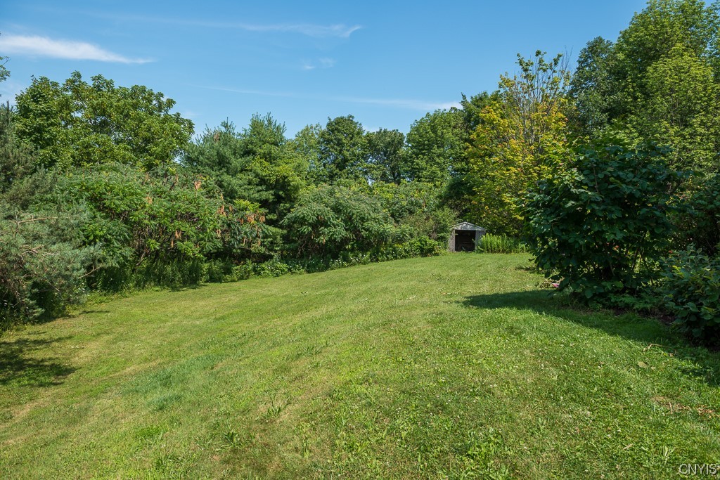 852 Strong Road Tully, NY 13159 - Photo 9 of 42 Beautiful yard.