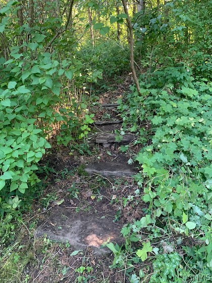 852 Strong Road Tully, NY 13159 - Photo 10 of 42 Stone Steps