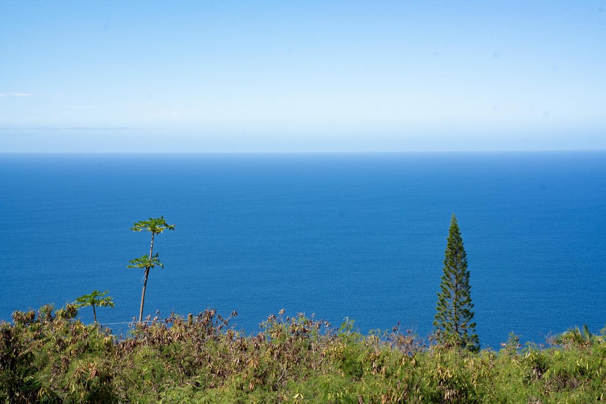 87-3219 Boki Road Captain Cook, HI 96704 - Photo 17 of 30 Gallery Image 17