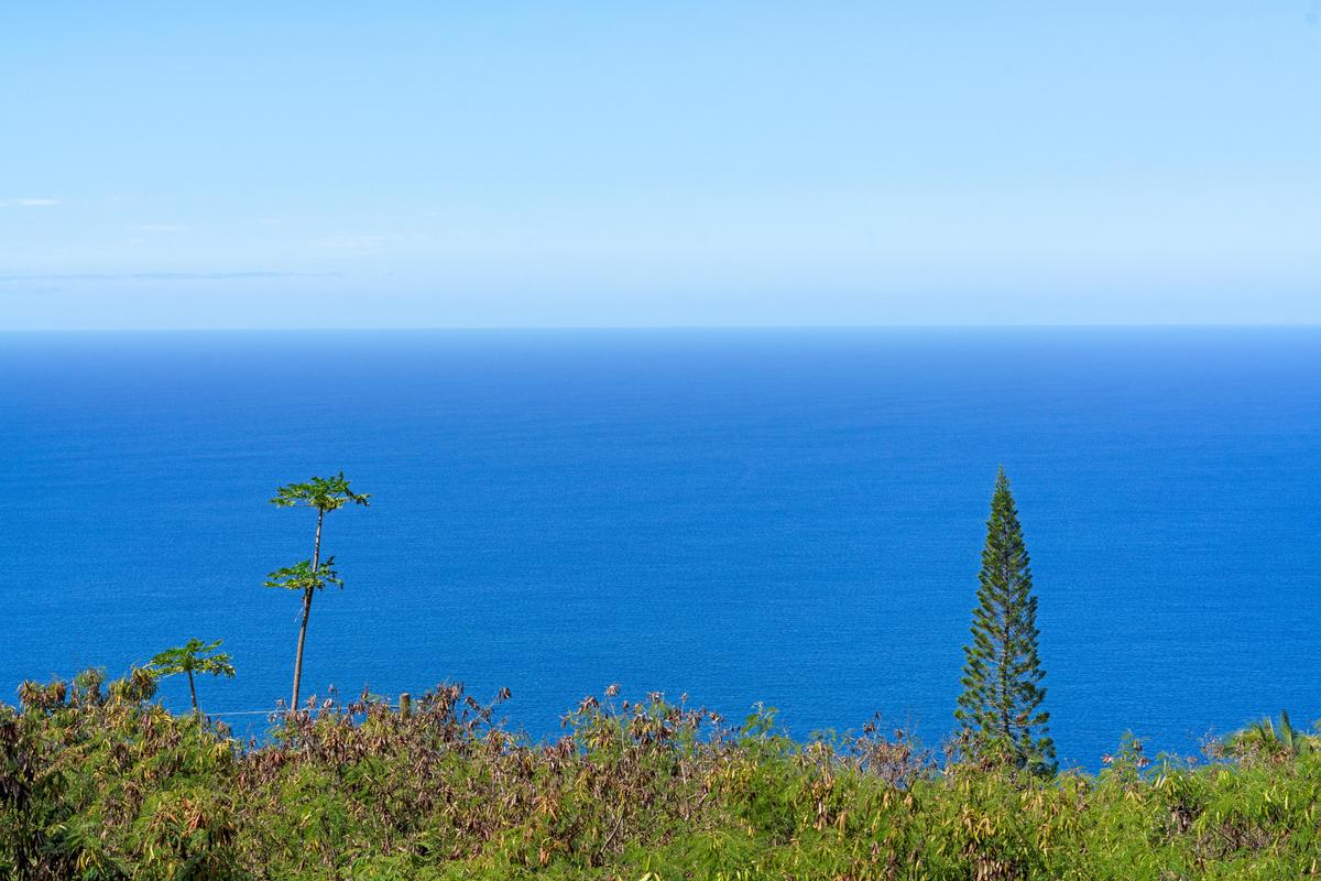 87-3219 Boki Road Captain Cook, HI 96704 - Photo 25 of 30 Gallery Image 25
