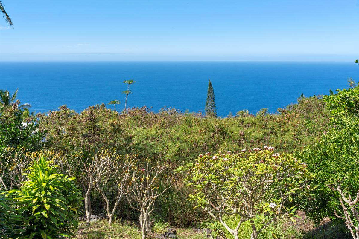 87-3219 Boki Road Captain Cook, HI 96704 - Photo 26 of 30 Gallery Image 26