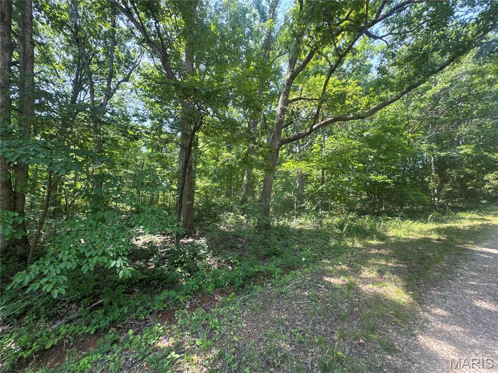 0 Rue Irene Bonne Terre, MO 63628 - Photo 5 of 6