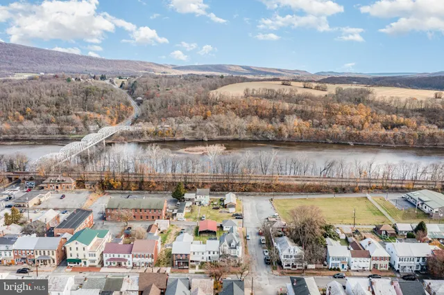 a front view of a house with a garden and plants