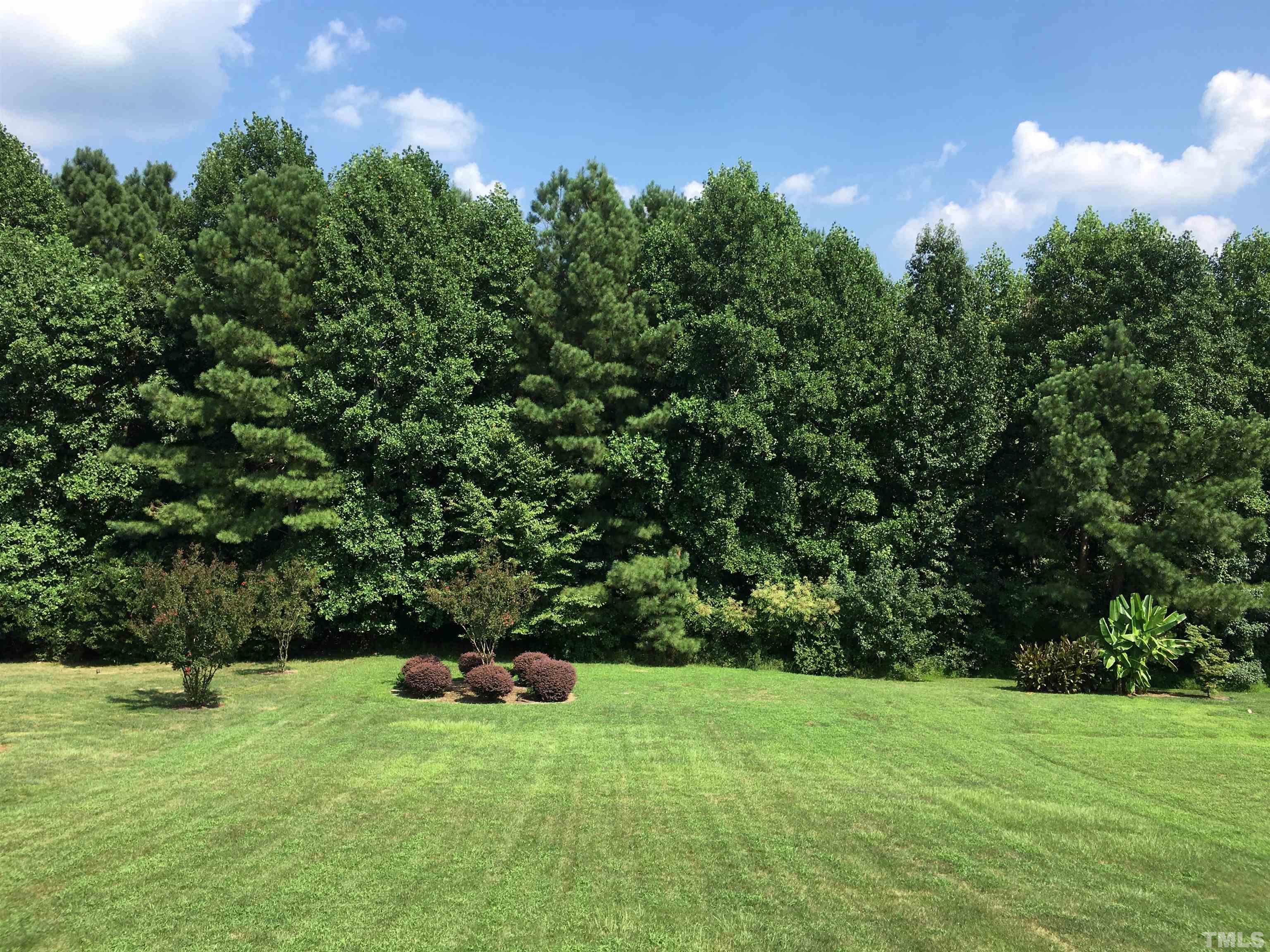 664 Seastone Street Raleigh, NC 27603 - Photo 3 of 25 a big yard with lots of green space and plants