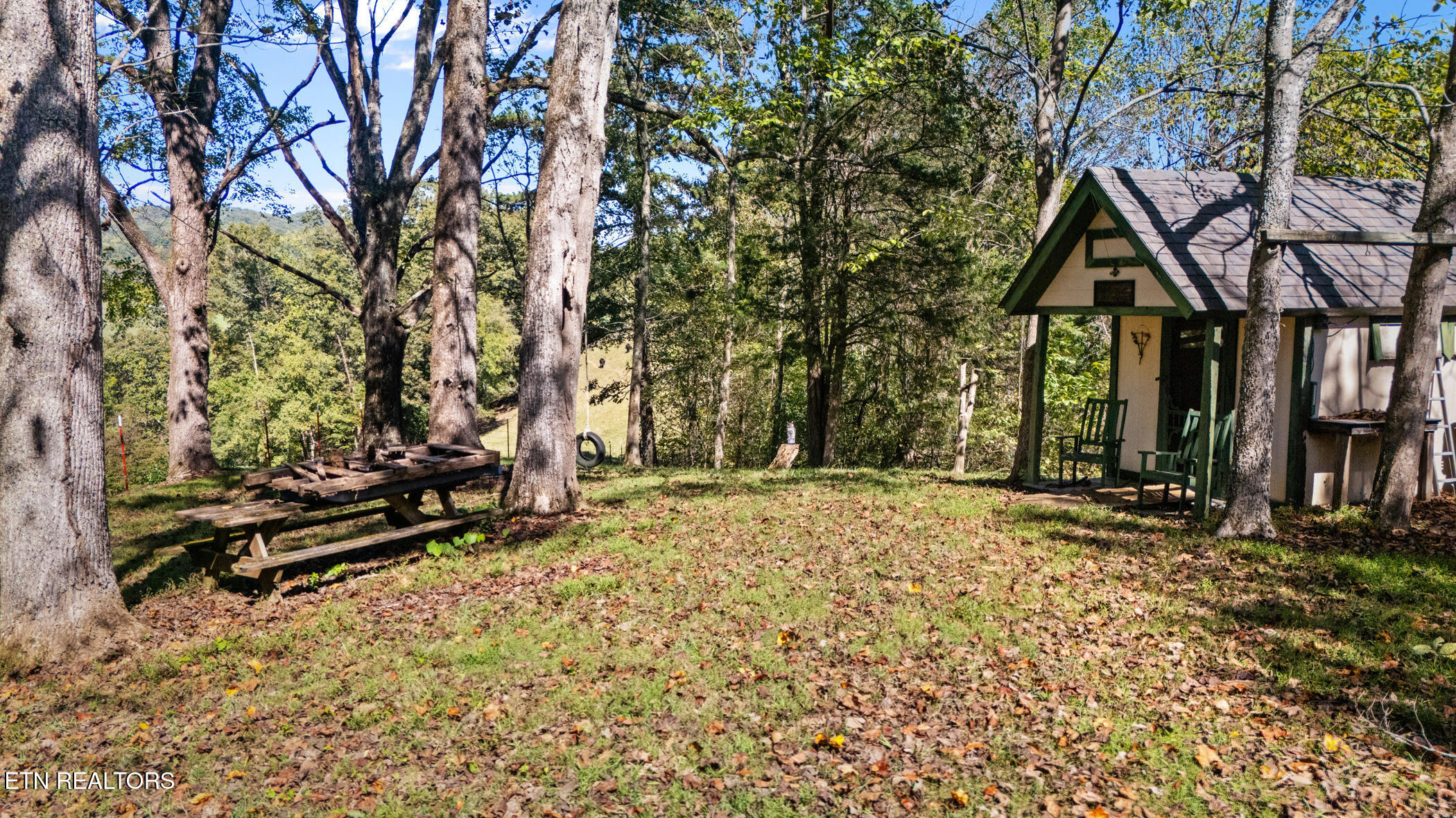 259 Little Tater Valley Road Luttrell, TN 37779 - Photo 6 of 23 dji_20251001143014_0311_d