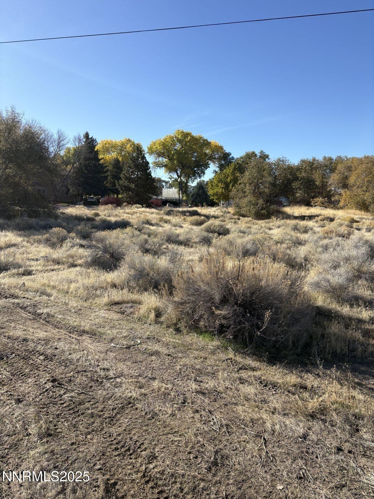 Tbd East Haskell Street Winnemucca, NV 89445 - Photo 4 of 9 a view of a field