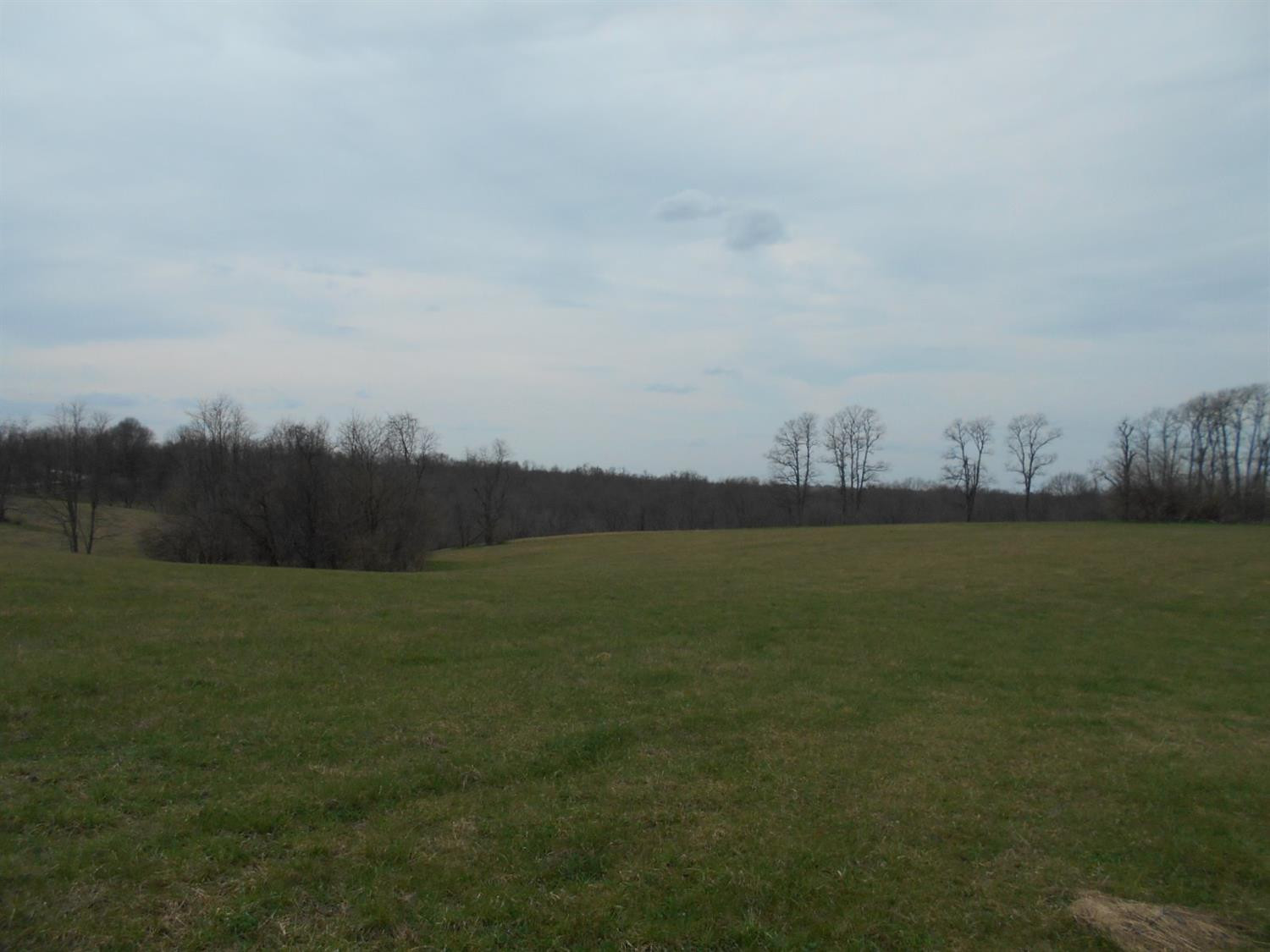 999 North Convict Road Sharpsburg, KY 40374 - Photo 1 of 9 Photo 1