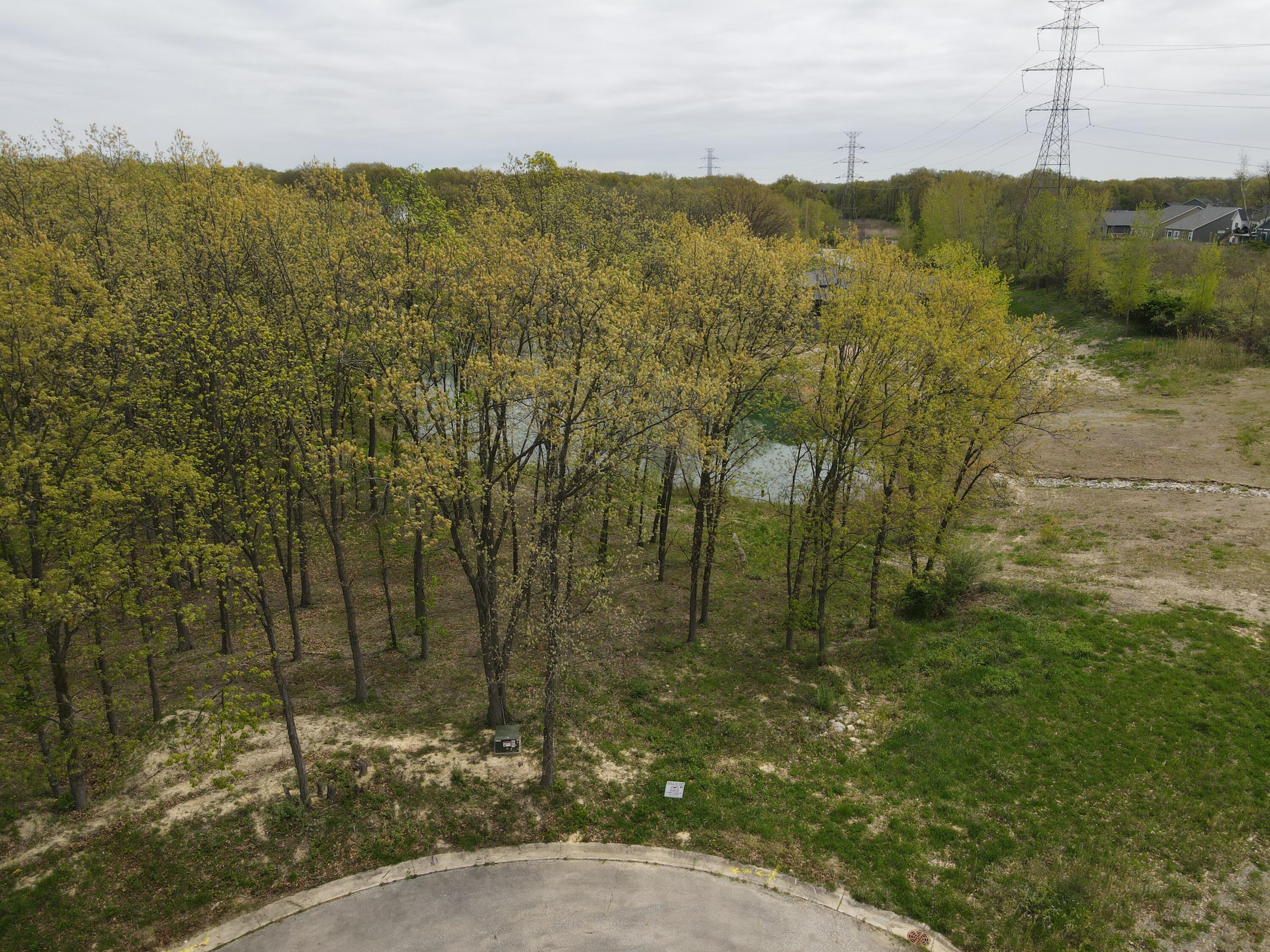 31 Davidano Court Crown Point, IN 46307 - Photo 2 of 9 a view of a forest with a building in the background