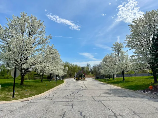 a view of outdoor space and entertaining space
