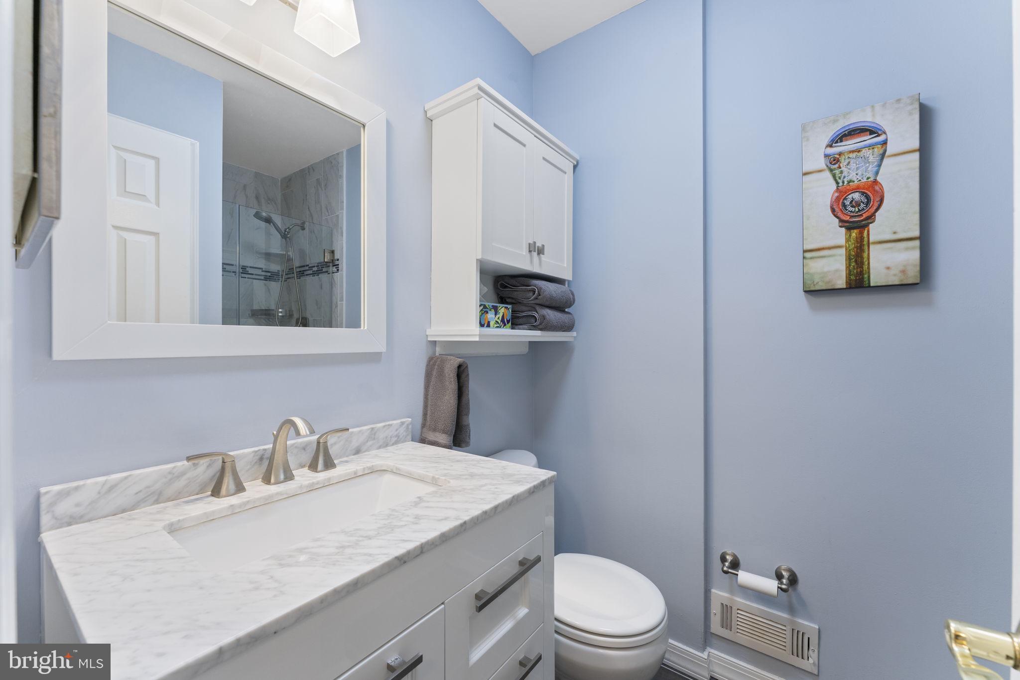 41 Rampart Drive Chesterbrook, PA 19087 - Photo 24 of 42 Updated Bathroom #2