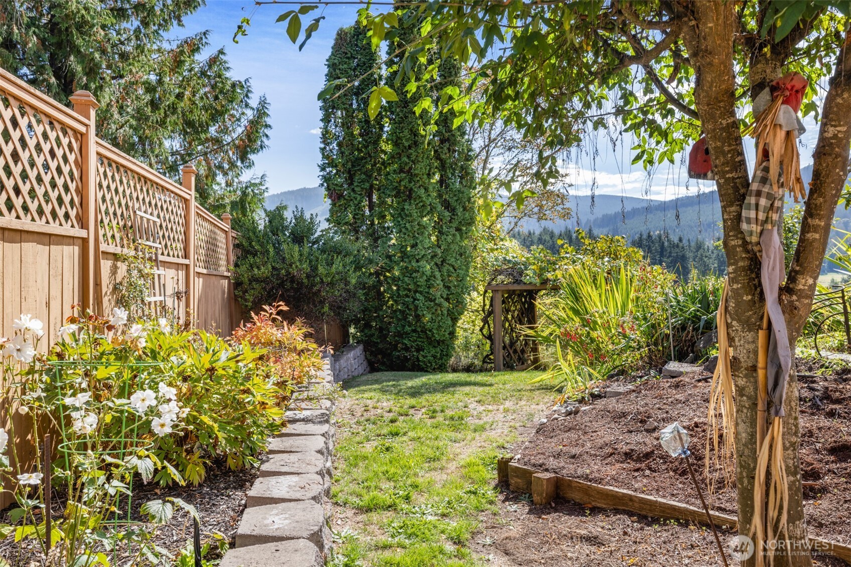 453 Stampede Drive Sequim, WA 98382 - Photo 35 of 36 a view of a yard with plants and large trees