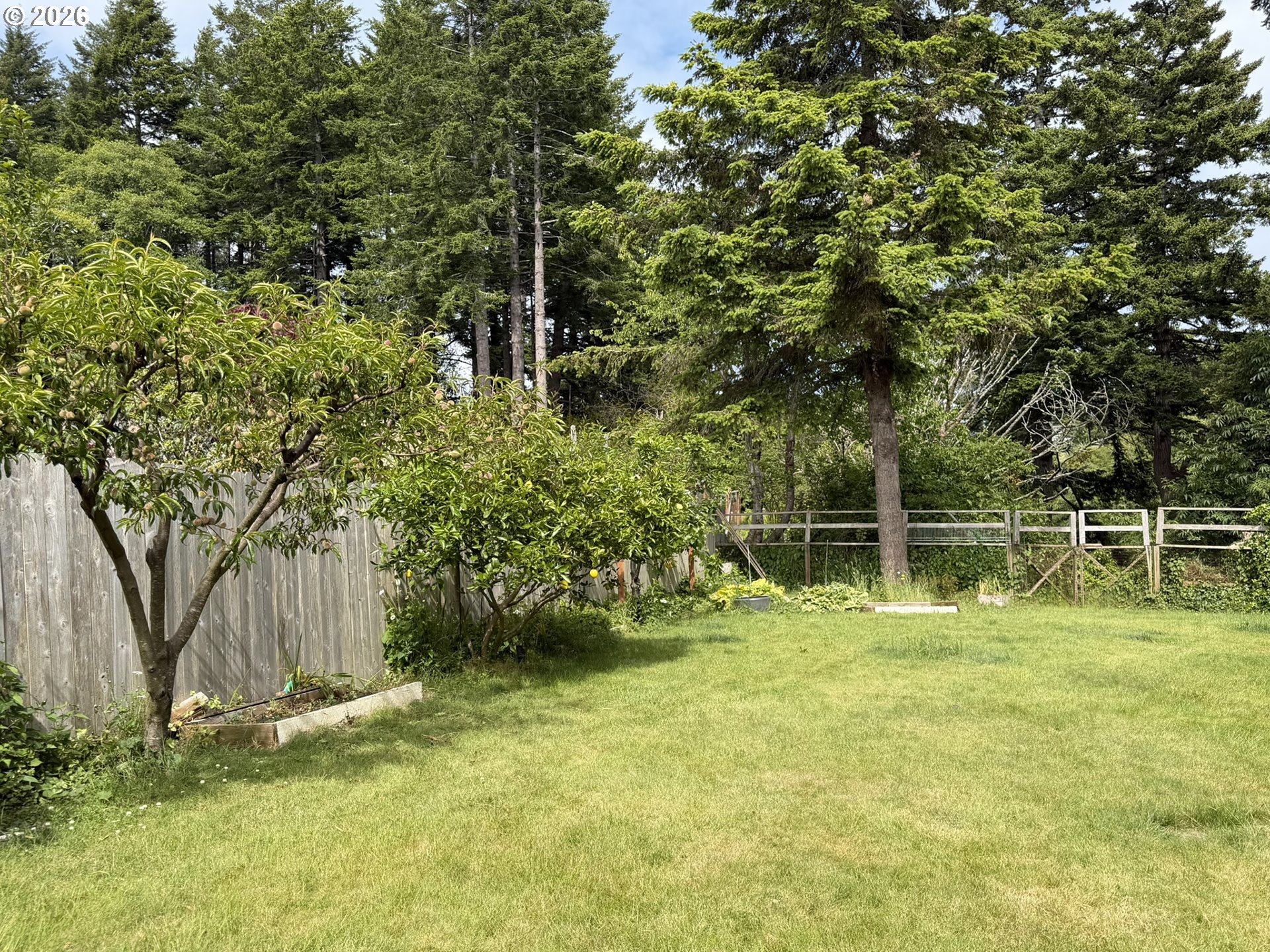 1372 Hampton Road Brookings, OR 97415 - Photo 37 of 42 a backyard of a house with lots of green space