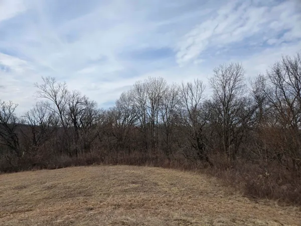 $9,500 | 4-a34 Stevens Court, Apple River, IL 61001