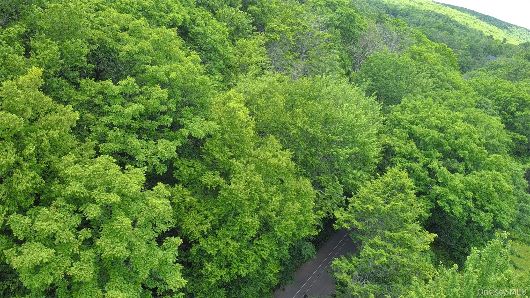 Trails End Road Kerhonkson, NY 12446 - Photo 5 of 6 Gallery Image 5