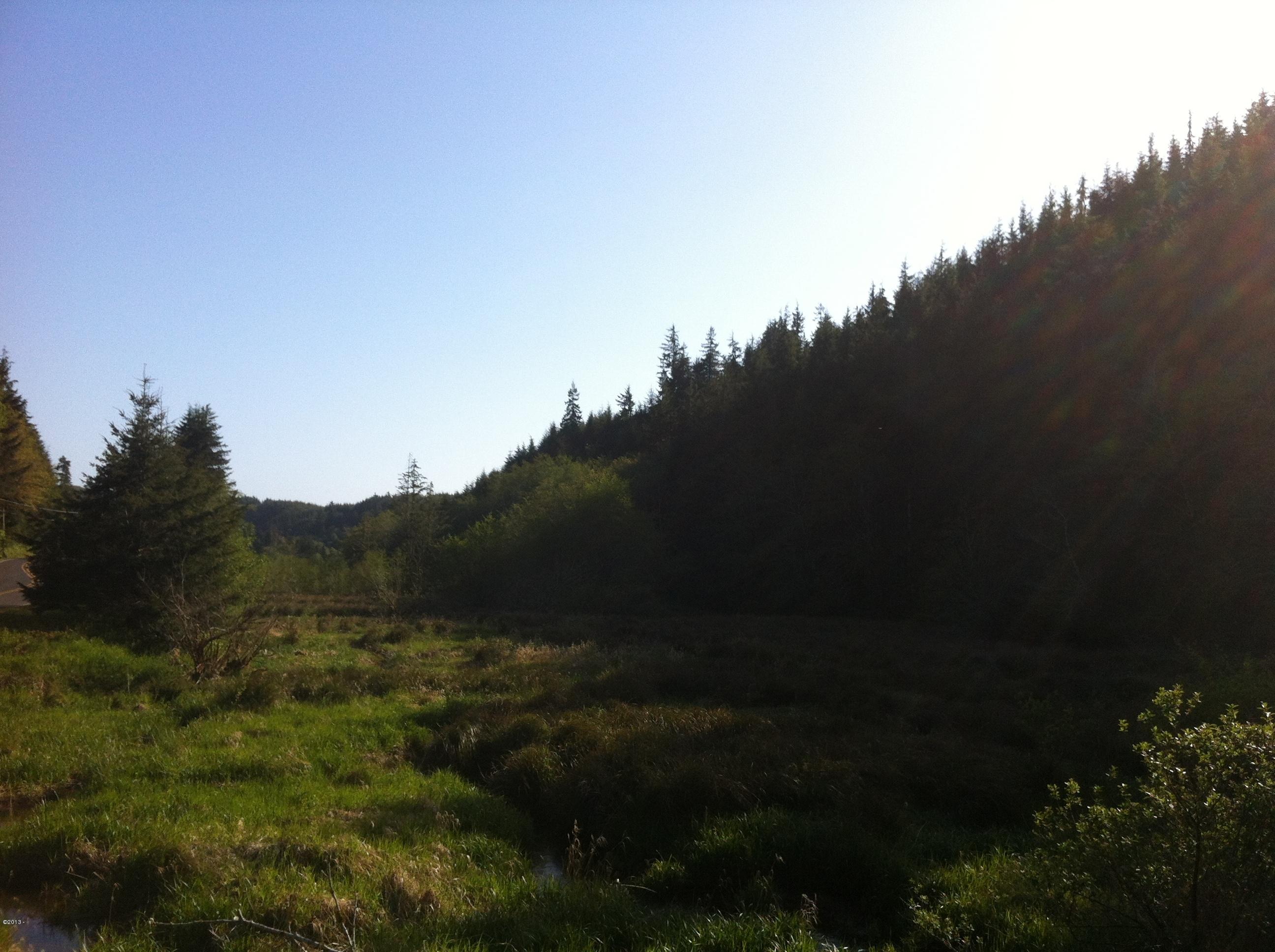 401 South Anderson Creek Road Lincoln City, OR 97367 - Photo 2 of 16 Creekfront Property