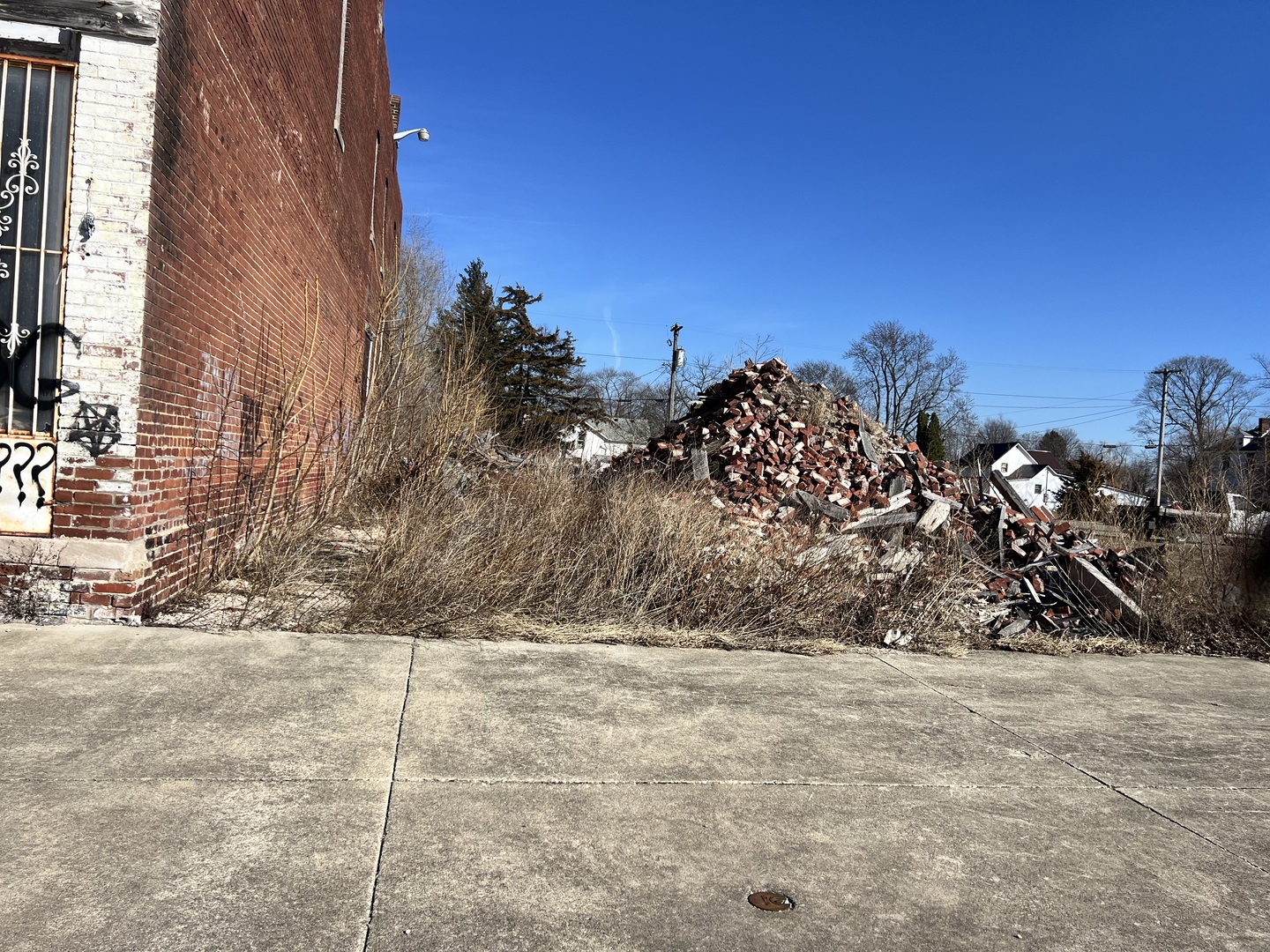 121 South Main Street Rankin, IL 60960 - Photo 2 of 7