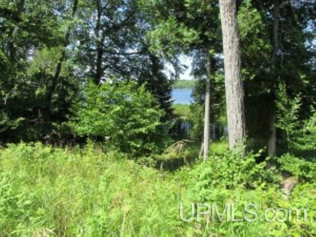W17884 Long Point Road Germfask, MI 49836 - Photo 11 of 18 Gallery Image 11