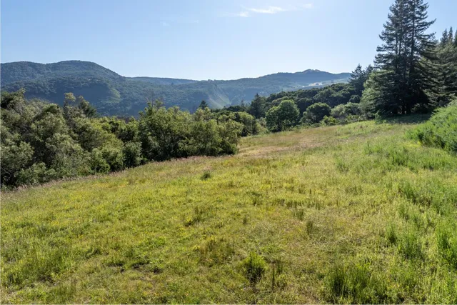 a view of a lush green hillside and a houses