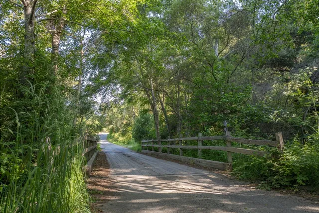 a view of a swimming pool and trees in the background