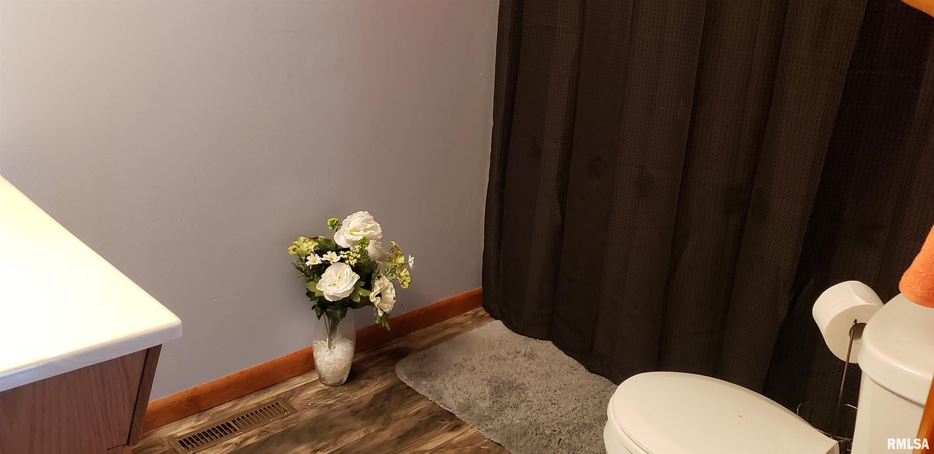 313 Walnut Dawson, IL 62520 - Photo 17 of 27