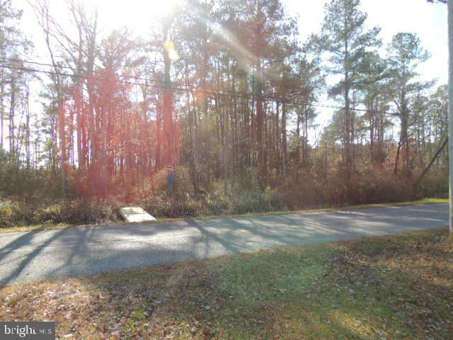 Mt Vernon Road Princess Anne, MD 21853 - Photo 1 of 2 a view of dirt yard with a large tree